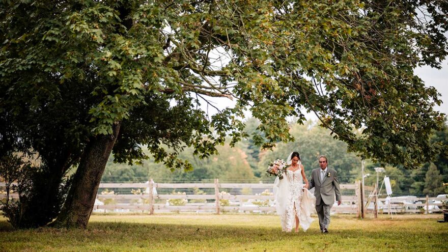 Landscape Gallery Image 17