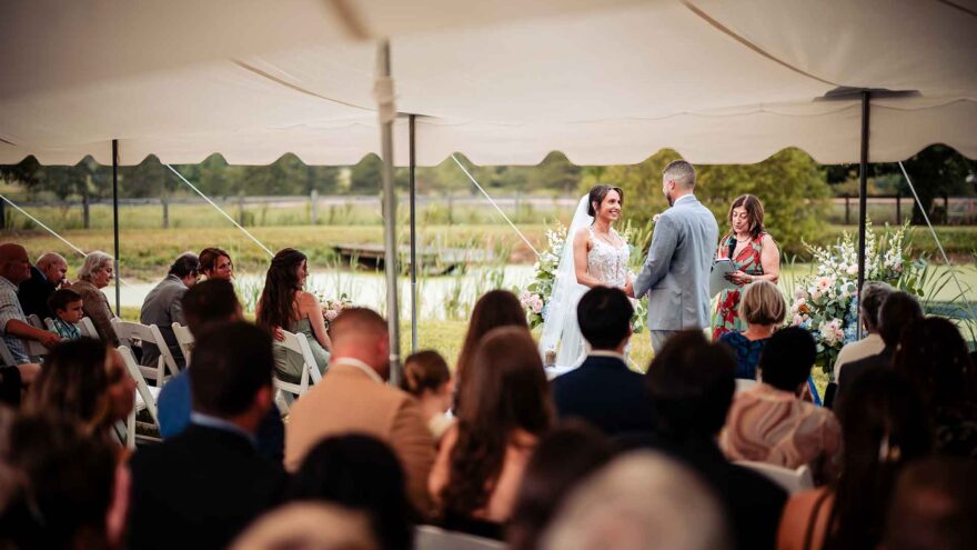 Landscape Gallery Image 11