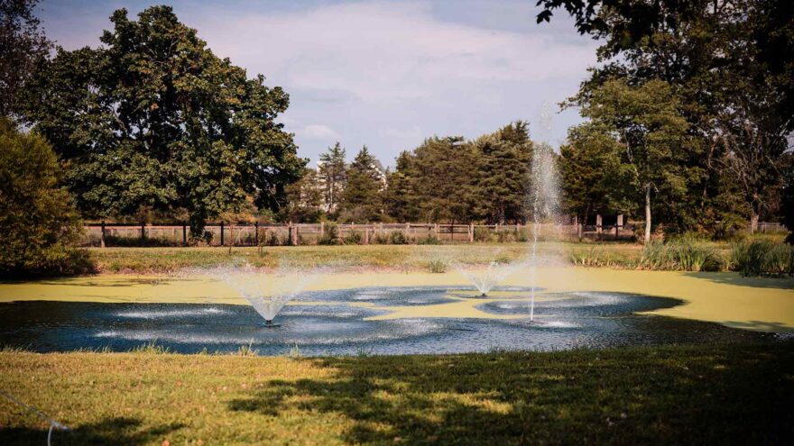 Landscape Gallery Image 6