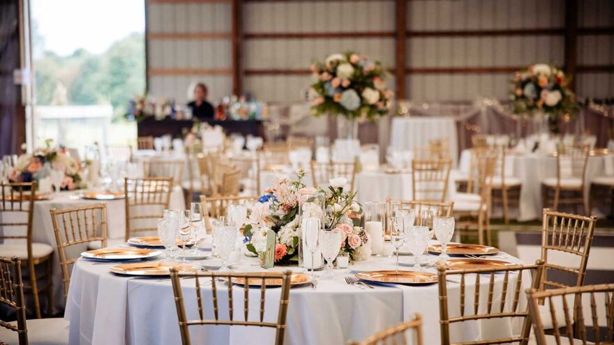 Landscape Gallery Image 4