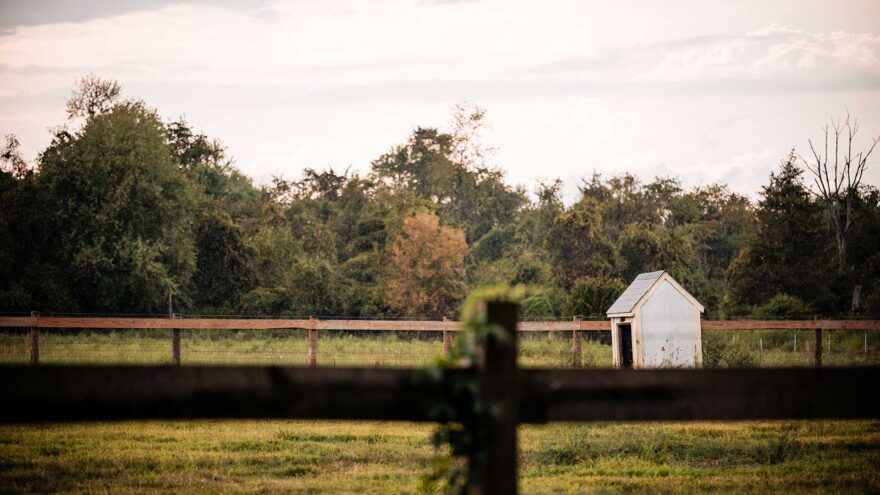 Landscape Gallery Image 2