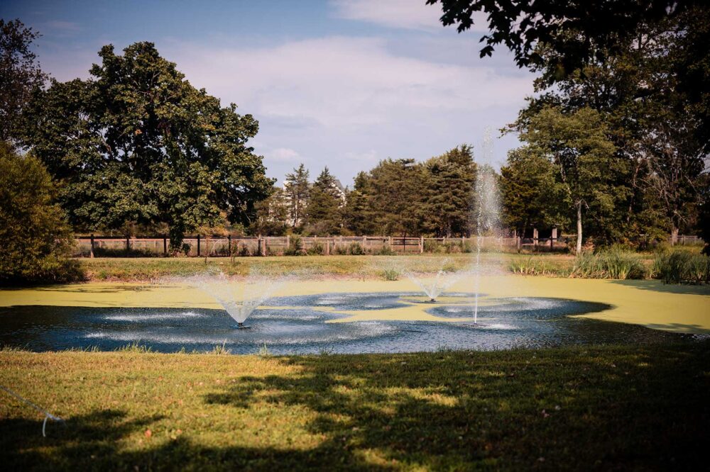 Where Community, Tradition, And Quality Come Together. | Home | CatTail Farm